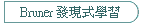 Bruner 發現式學習