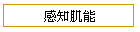 Pٯ